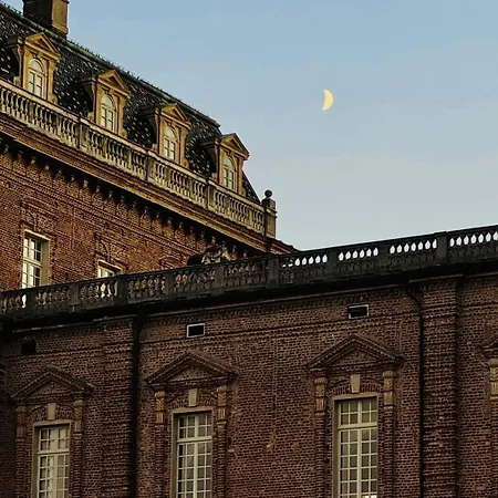 Little's Venaria *