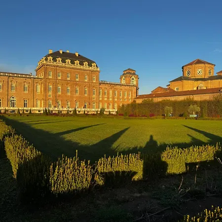 Little's Venaria *