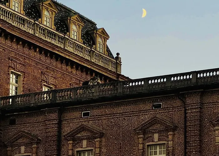 Little's Venaria *