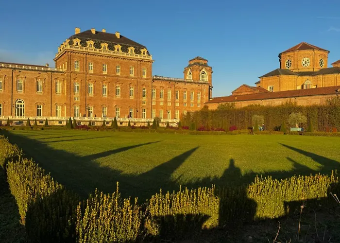 Little's Venaria *
